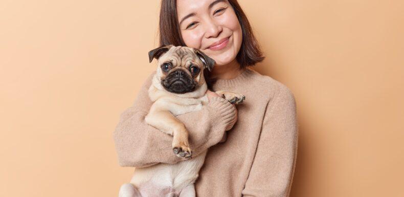 【2024年最新】お笑い芸人TV番組出演ランキング&ネクストブレイク芸人